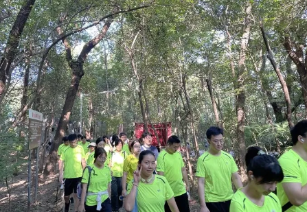 威客电竞·(中国)VKGAME官网入口