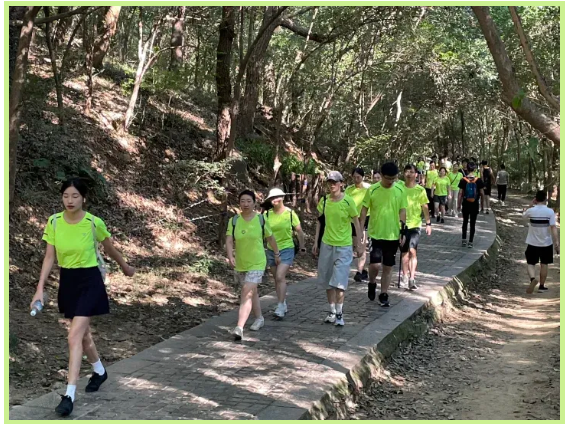 威客电竞·(中国)VKGAME官网入口